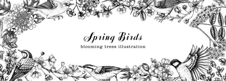 Spring garden frame designs. Vector background with birds, flowers, blooming tree branches in sketched style. Almond, willow, rowan, willow, cherry blossom banner. Hand drawn floral sketch